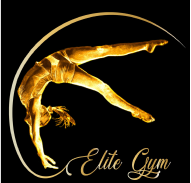 SCRIBES - client scribes ELITE GYM